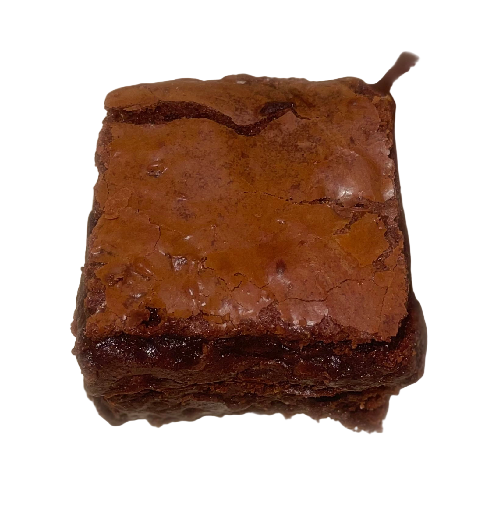 Chocolate Lover Brownie